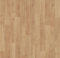 Линолеум Forbo Eternal Wood 11912 whitewashed oak фото 1 | FLOORDEALER
